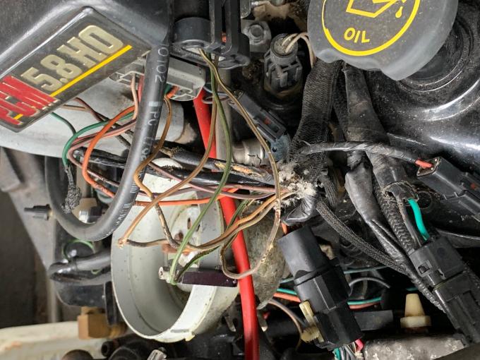 Click image for larger version

Name:	Engine - Mice wiring harness damage.jpg
Views:	1222
Size:	72.4 KB
ID:	594239